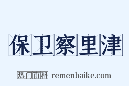 保卫察里津是什么意思的图片